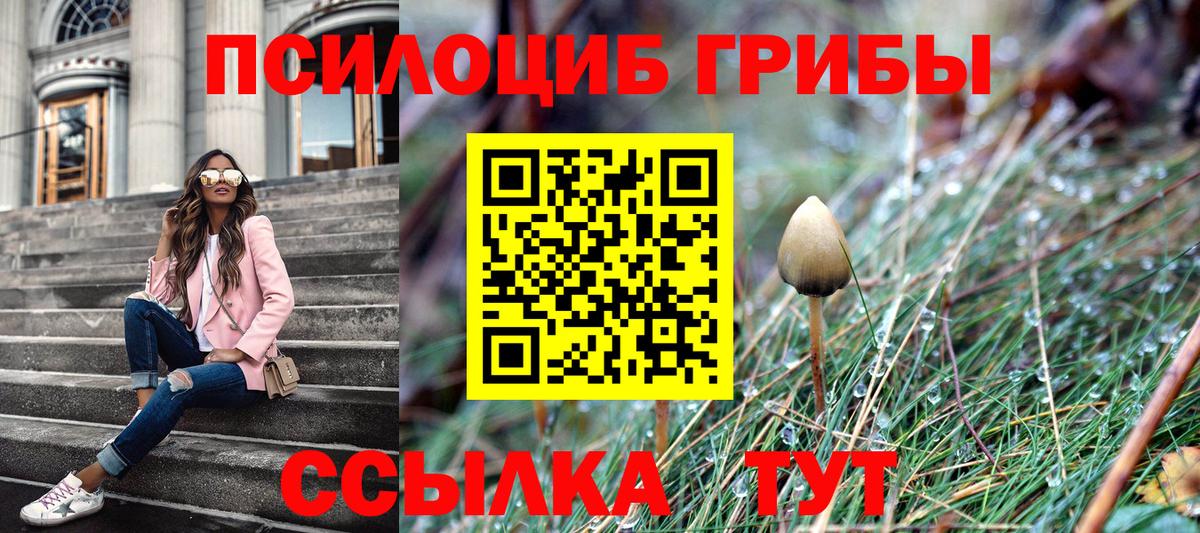 Псилоцибиновые грибы прущие грибы  Галлюциногенные грибы мицелий  цена   Михайловка  Вход с VPN 