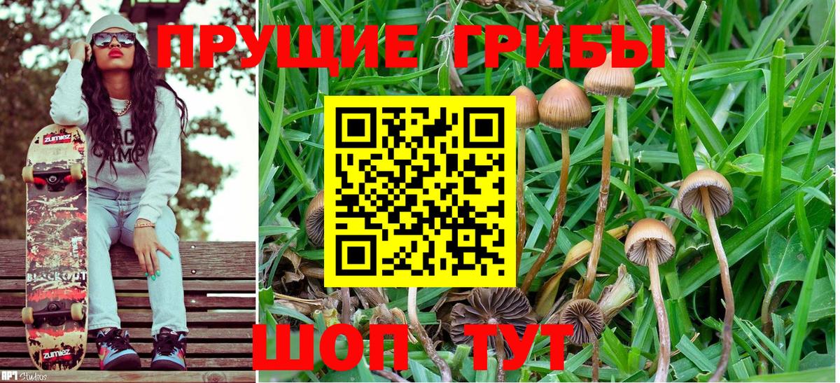 Галлюциногенные грибы Cubensis Михайловка